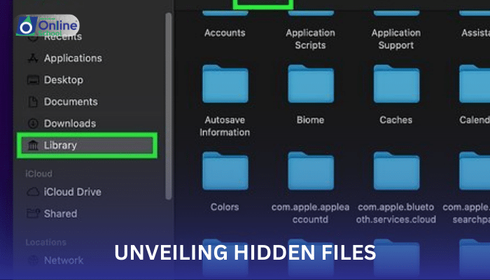 Lesson 12: Unveiling Hidden Files: Managing Hidden and System Files
